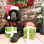 Weihnachten - Standardpudel - wildes Pferd Freistehende Fotoskulptur<br><div class="desc">Behandelt zum Verwöhnen mit Teagarden,  war ich dort,  diesen Standardpudel-Hund für ihn zu fotografieren bin Weihnachtsfeiertagsporträt.  Um die Erholung dieses photoshoot zu sehen besuchen Sie www.SayWoofPetography.photoreflect.com</div>