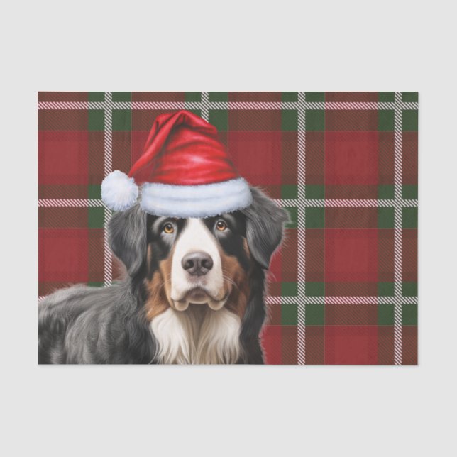 Weihnachten Tartan Kariert und Berner Hund Seidenpapier (Vorderseite)
