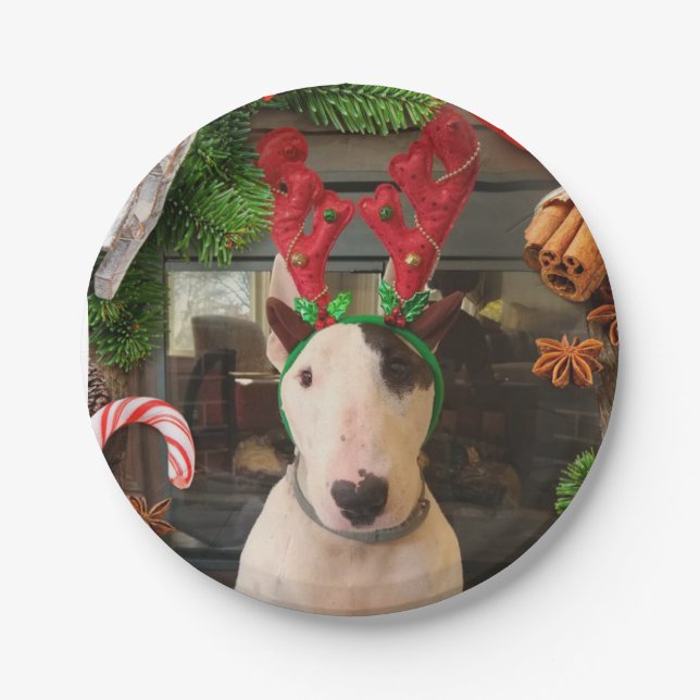 Weihnachten-Teller Pappteller (Vorderseite)