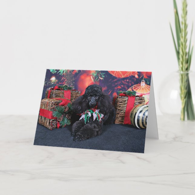 Weihnachten - Toby - Poodle (Vorderseite)