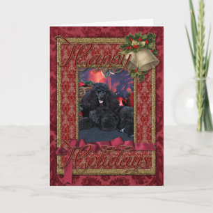 Weihnachten - Toby - Poodle