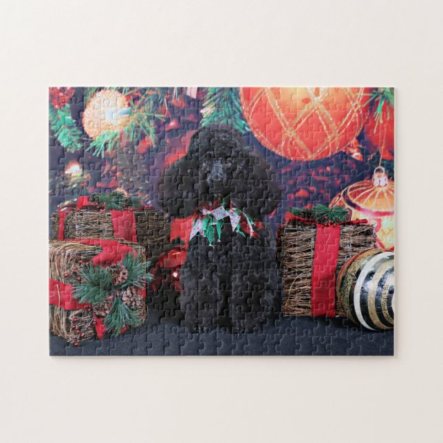 Weihnachten - Toby - Pudel (Horizontal)