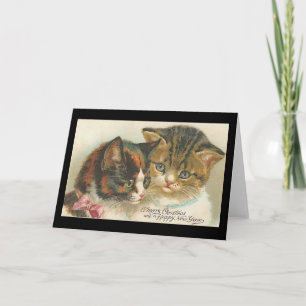 Weihnachten und Neujahr Katzen