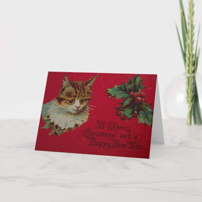 Weihnachten und Neujahr Katzen Grußkarte (Vorderseite)