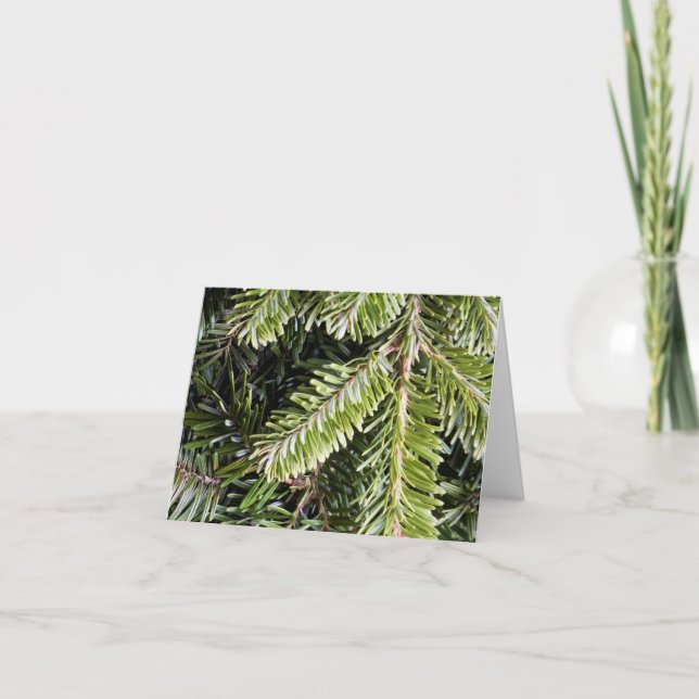 Weihnachten Urlaub Evergreen Pine Tree Hintergrund (Vorderseite)