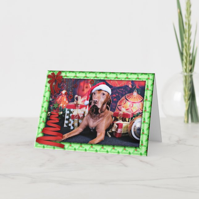 Weihnachten - Vizsla - Budda (Vorderseite)