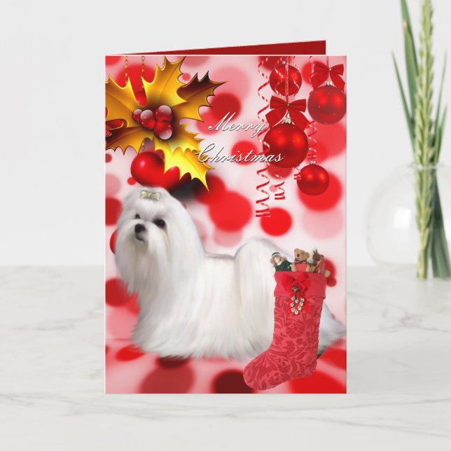 Weihnachten Weihnachten Malteser Hund Welpenherzen (Vorderseite)
