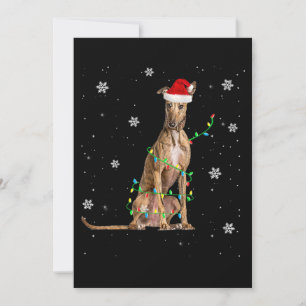 Weihnachten Weihnachten Niedliches Weihnachtsfest 