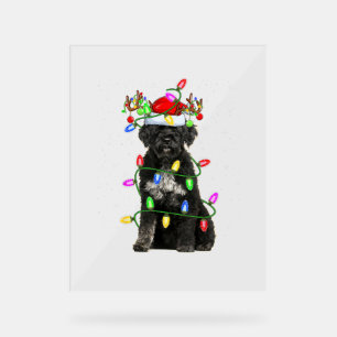 Weihnachten Weihnachten Sonnenlicht Portugiesische Acrylschild