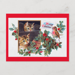 Weihnachten, Weihnachten und Kleiner Vogel Postkarte