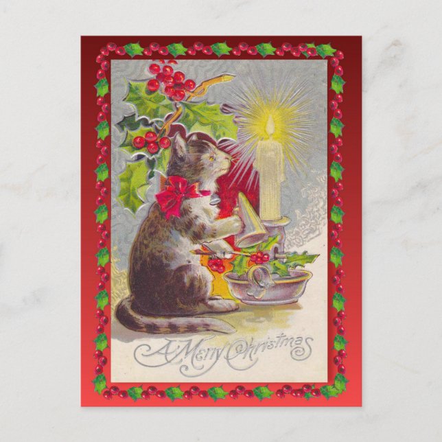 Weihnachten, Weihnachtskatze Feiertagspostkarte (Vorderseite)