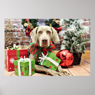 Weihnachten - Weimaraner - Lucy Poster