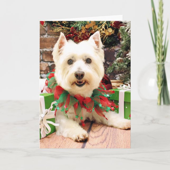 Weihnachten - Westhochland Terrier - Abby (Vorderseite)