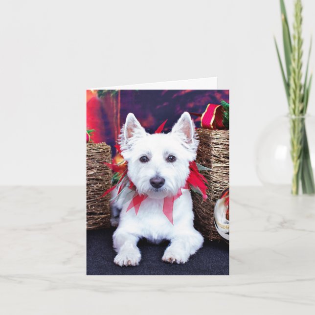 Weihnachten - Westie - Bella (Vorderseite)