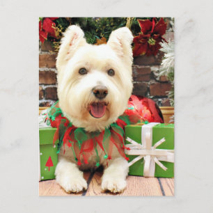 Weihnachten - Westie - Glück