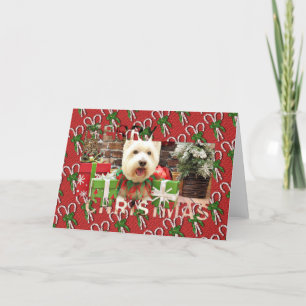 Weihnachten - Westie - Glück