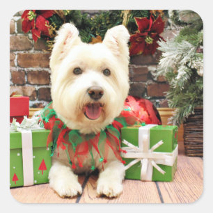 Weihnachten - Westie - glücklich Quadratischer Aufkleber