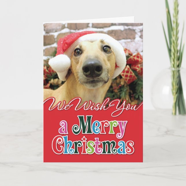 Weihnachten - Windhund - Pena (Vorderseite)