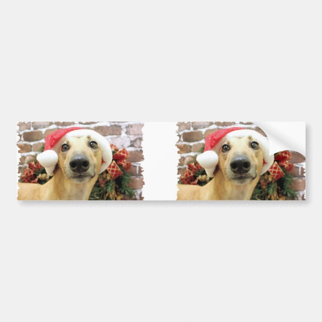 Weihnachten - Windhund - Pena Autoaufkleber (Vorne)