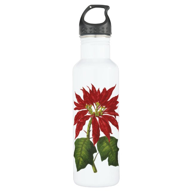 Weihnachten, Winter-Pflanze Red Poinsettia Trinkflasche (Vorderseite)