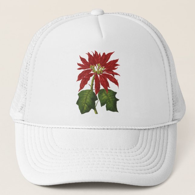 Weihnachten, Winter-Pflanze Red Poinsettia Truckerkappe (Vorderseite)
