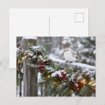 Weihnachten Winter Schneefink
