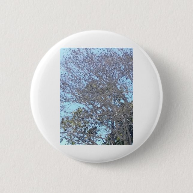 Weihnachten Winter Weiße Baumzweige Mit Blättern S Button (Vorderseite)