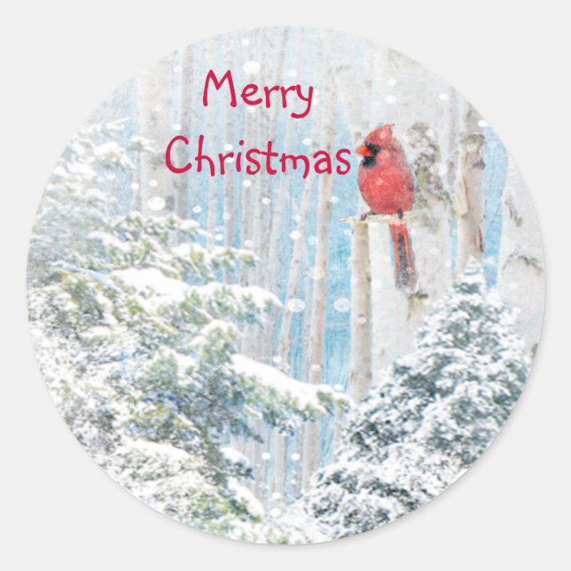 Weihnachten, Winterschnee Kardinal Roter Bird Runder Aufkleber (Vorderseite)