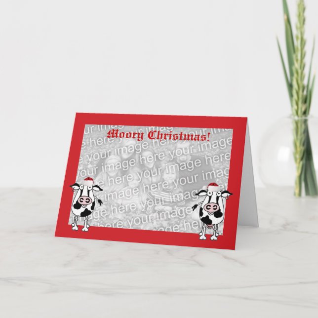 Weihnachten wünscht Foto Kuhkarte Vorlage (Vorderseite)