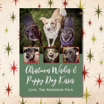 Weihnachten wünscht Multi Foto Dog Collage Weihnac