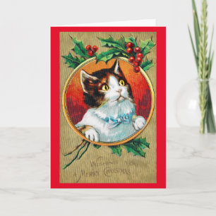 Weihnachten, Xmas Katze Karte