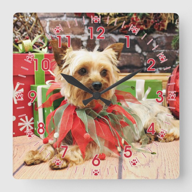 Weihnachten - Yorkie - Kinsey Quadratische Wanduhr (Vorderseite)