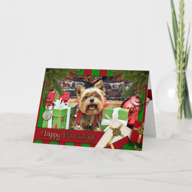 Weihnachten - Yorkie - Sonnenschein (Vorderseite)