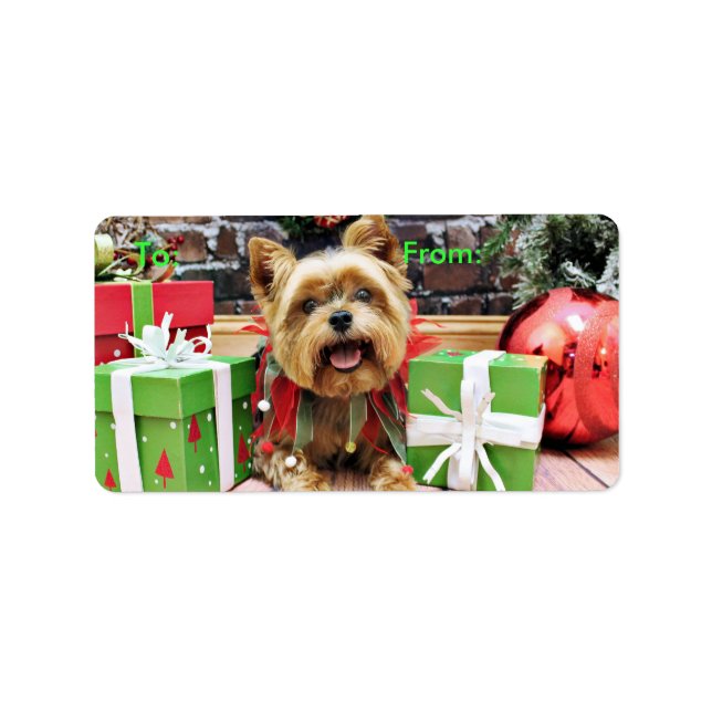 Weihnachten - Yorkie - Sonnenschein Adressaufkleber (Vorne)