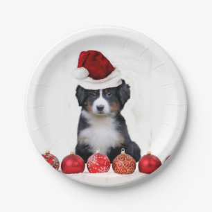 WeihnachtenBernese Gebirgshund Pappteller