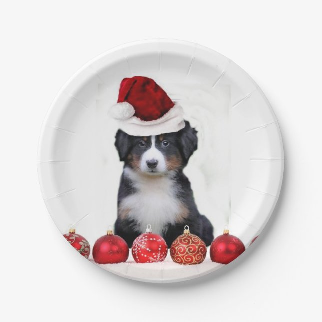 WeihnachtenBernese Gebirgshund Pappteller (Vorderseite)