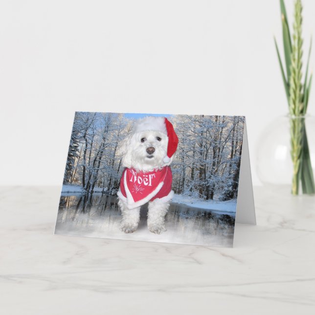 WeihnachtenBichon Frise Hund Feiertagskarte (Vorderseite)