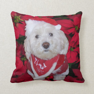 WeihnachtenBichon Frise Hund Kissen