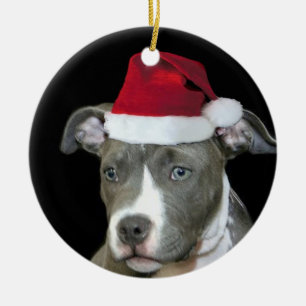 Weihnachtenblauer pitbull Welpe Keramik Ornament