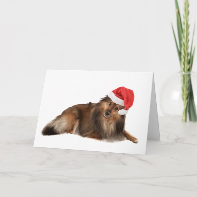WeihnachtenSheltie Hund Feiertagskarte (Vorderseite)