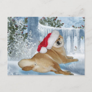 WeihnachtenShiba Inu Postkarte