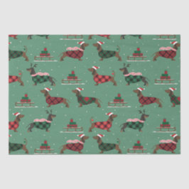 Weihnachtliche Dackeln mit Sweater & Weihnachtsman Seidenpapier