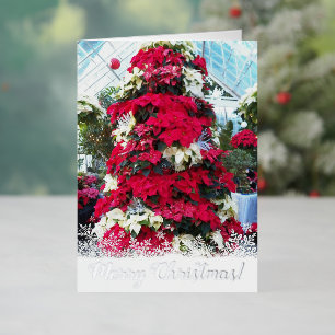 Weihnachtliche Poinsettien-Weihnachtsbaum