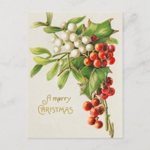 Weihnachtliche rote und weiße Stechpalmenbeeren Feiertagspostkarte