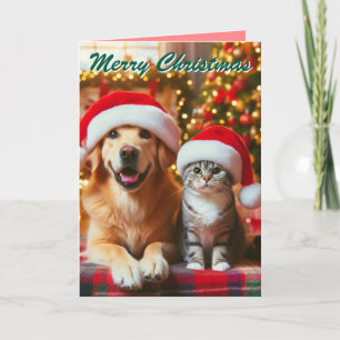 Weihnachtlicher Hund und Katze Weihnachten