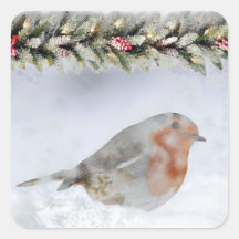 Weihnachtlicher Winter Schnee Rotkehlchen Weihnach