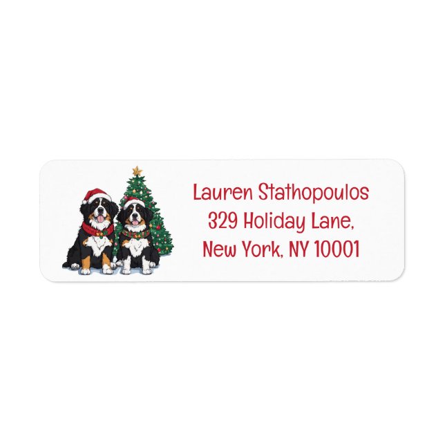 Weihnachts Berner Sennenhunde (Vorne)