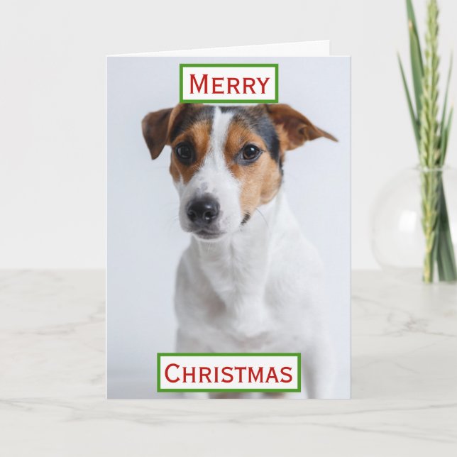 Weihnachts Beste Hündin Mama je Begleiter Foto Karte (Vorderseite)