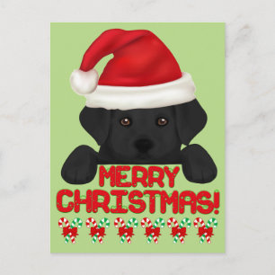 Weihnachts Black Labrador Welpe! Feiertagspostkarte