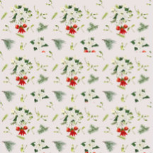 Weihnachts-Blume und -Bogen